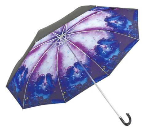 名画 晴雨兼用 折りたたみ傘 ラッセン LASSEN ドルフィン コンパニオン