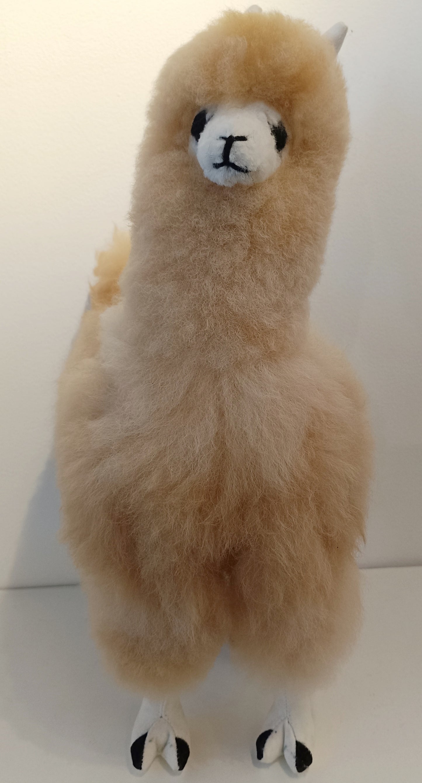 アルパカ ぬいぐるみ 人形 ビッグサイズ 50cm apd5026001